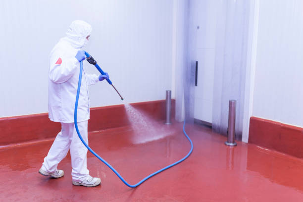 Best Building Exterior Washing  in Pumpkin Center, NC