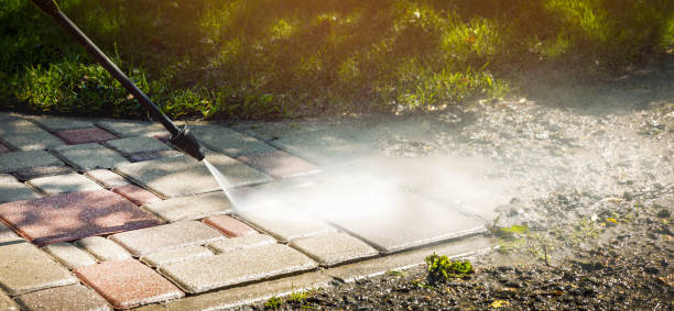Best Gutter Cleaning  in Pumpkin Center, NC