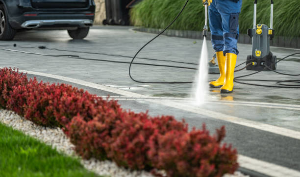 Best Pool Deck Cleaning  in Pumpkin Center, NC